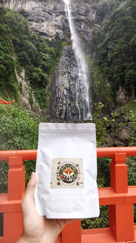 A bag of Kitsu Coffee held up in front of Nachi Falls